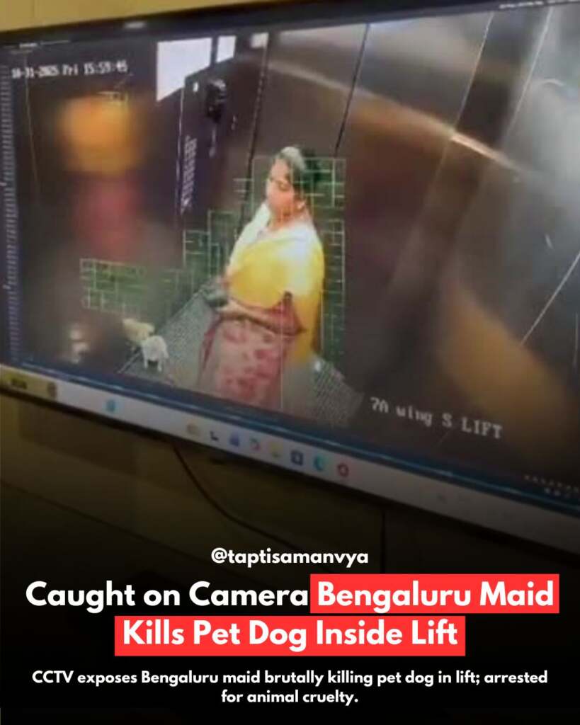 's New Chief Minister (16)