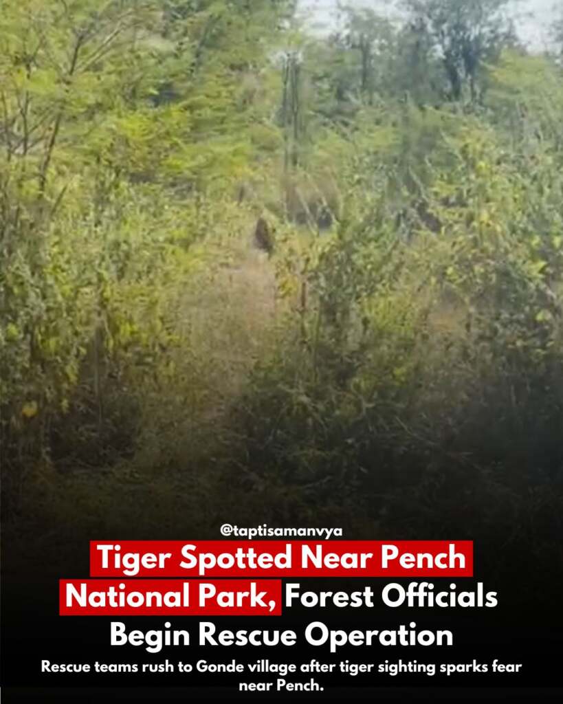 's New Chief Minister (24)