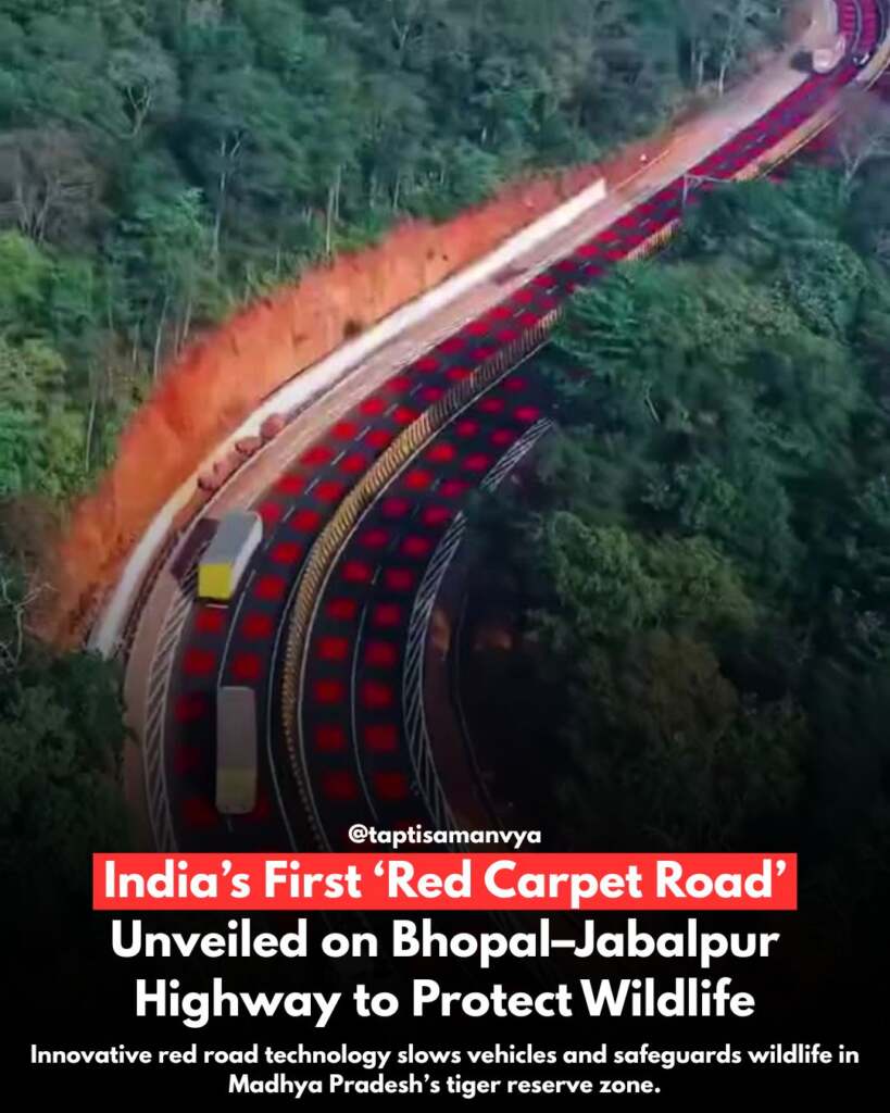 's New Chief Minister (43)