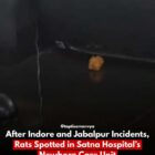 's New Chief Minister (46)