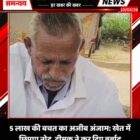 5 लाख की बचत का अजीब अंजाम: खेत में छिपाए नोट, दीमक ने कर दिए बर्बाद