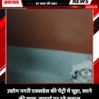 उद्योग नगरी एक्सप्रेस की पेंट्री में चूहा, खाने की साफ-सफाई पर उठे सवाल