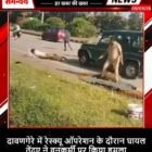 दावणगेरे में रेस्क्यू ऑपरेशन के दौरान घायल तेंदुए ने वनकर्मी पर किया हमला