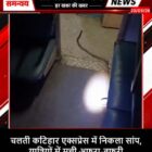 चलती कटिहार एक्सप्रेस में निकला सांप, यात्रियों में मची अफरा-तफरी