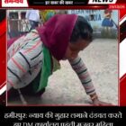हमीरपुर: न्याय की गुहार लगाने दंडवत करते हुए DM कार्यालय पहुंची मजबूर महिला